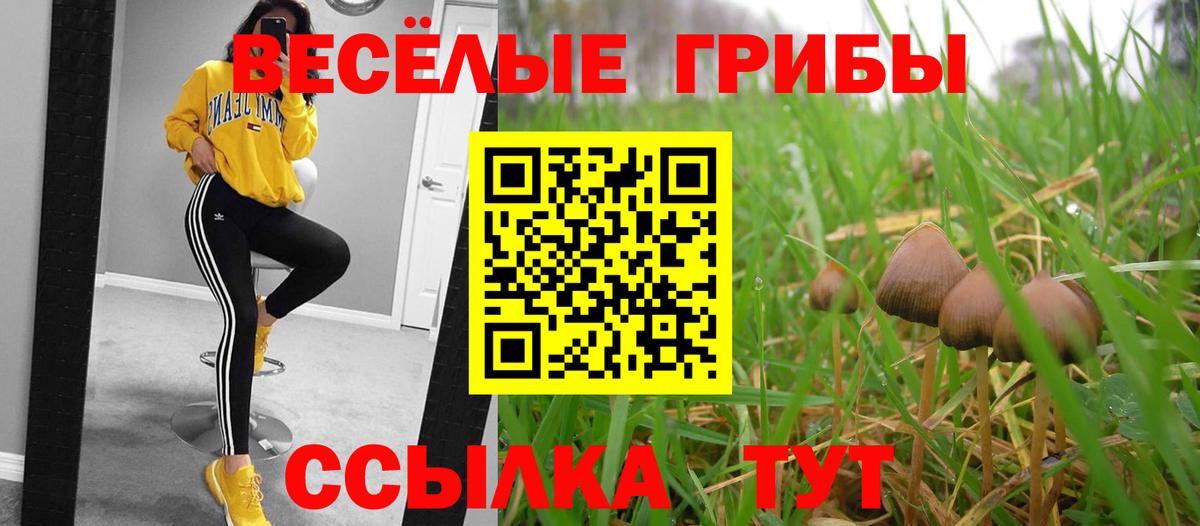 Галлюциногенные грибы GOLDEN TEACHER Волгодонск